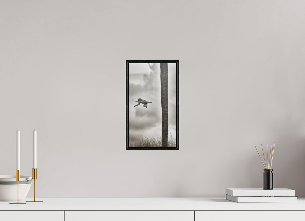 6.8 x 12″, S+M Black Floater Frame BEYOND THE BRANCH