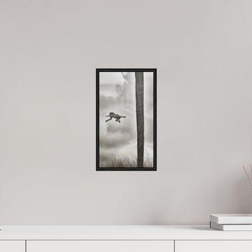 6.8 x 12″, S+M Black Floater Frame BEYOND THE BRANCH