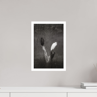 10 x 15″, M Print TWO TRUTHS