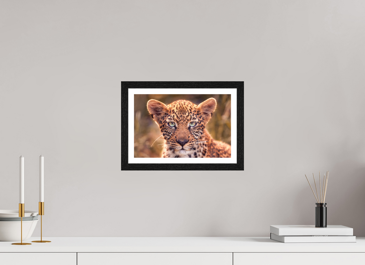 12 x 8″, S+M Black Frame + border SEEN