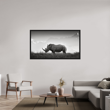 64 x 36″, Exhibition Black Floater Frame ANCIENT GRAVITY