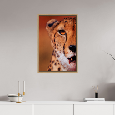 20 x 30″, L+XL Oak Floater Frame As It Is