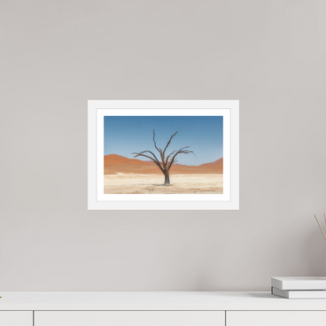 12 x 8″, S+M White Frame + Border TO BE