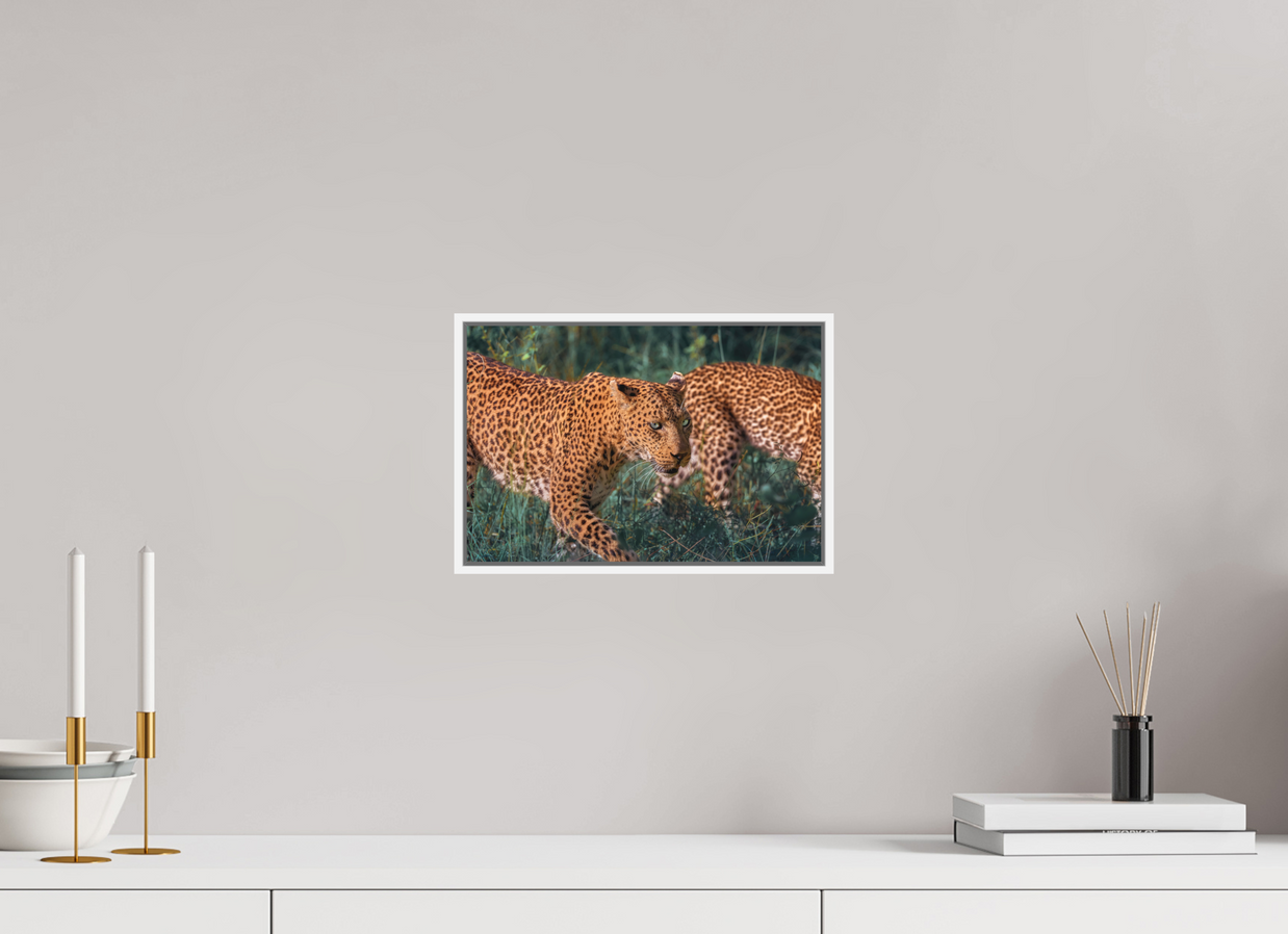 12 x 8″, S+M White Floater Frame Untamed Opulence