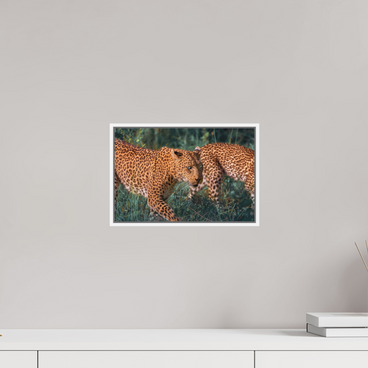 12 x 8″, S+M White Floater Frame Untamed Opulence