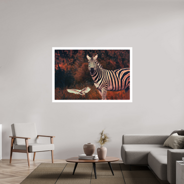 60 x 40″, XL + Exhibition Print PASSING THROUGH