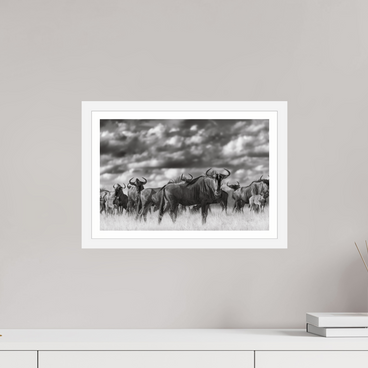 15 x 10″, S+M White Frame + Border MYSELF IN THE MANY