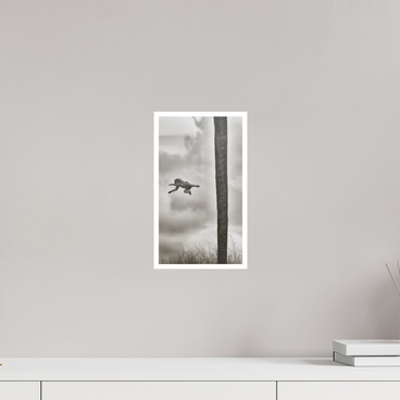 6.8 x 12″, S Print Beyond The Branch