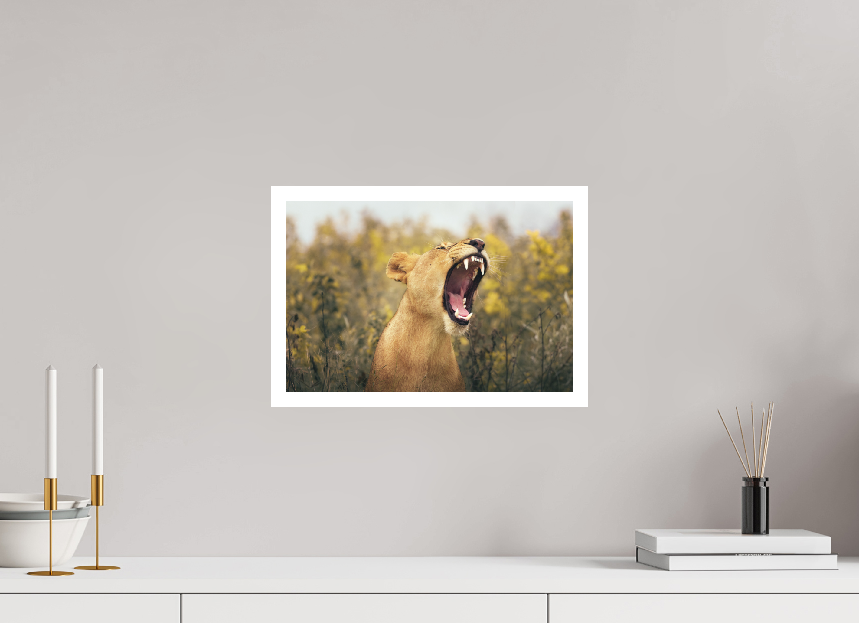 15 x 10″, M Print UNCONTAINED