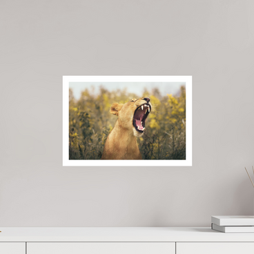 15 x 10″, M Print UNCONTAINED