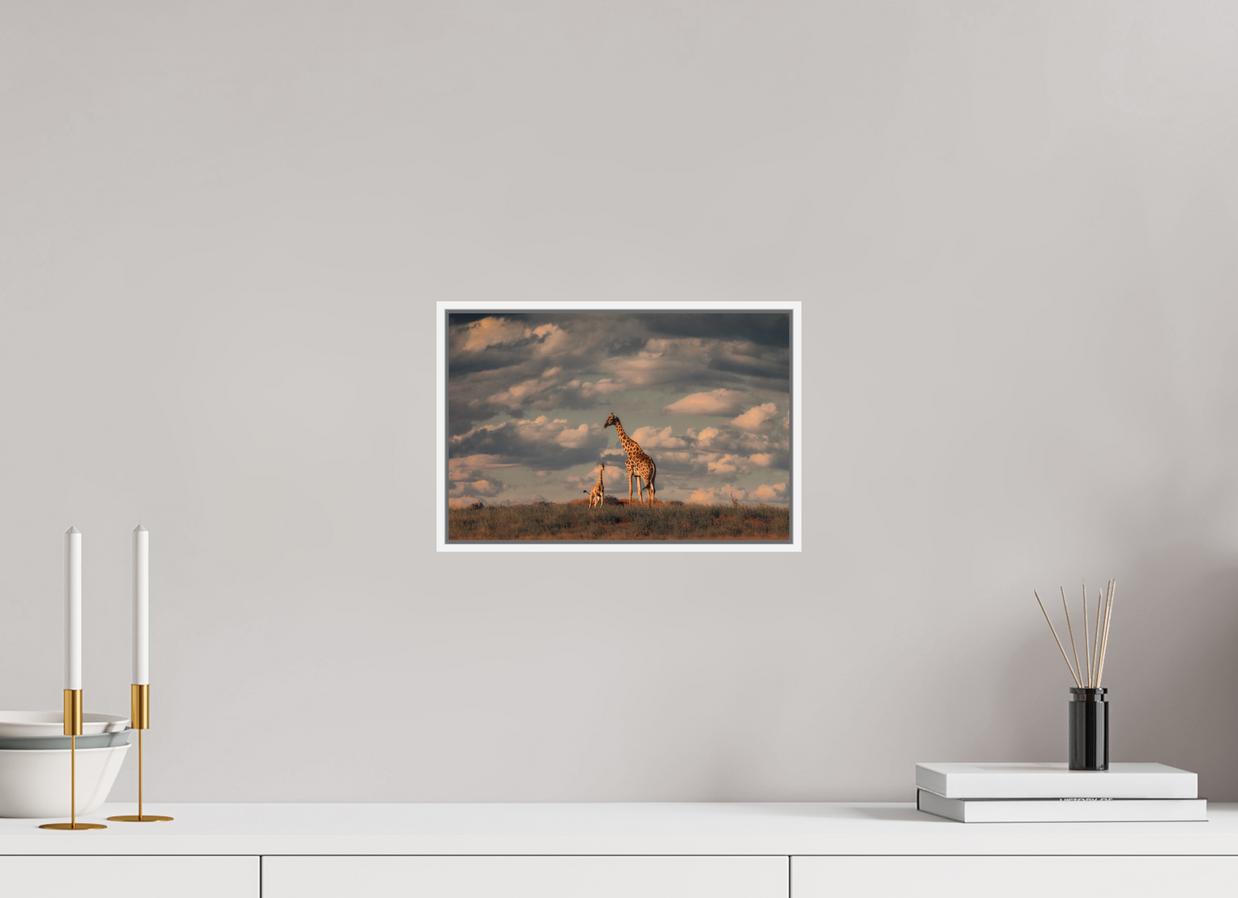 12 x 8″, S+M White Floater Frame Lineage