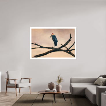 60 x 40″, XL + Exhibition Print THE LAST WITNESS