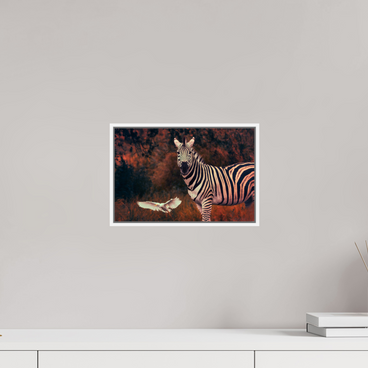 12 x 8″, S+M White Floater Frame Passing Through