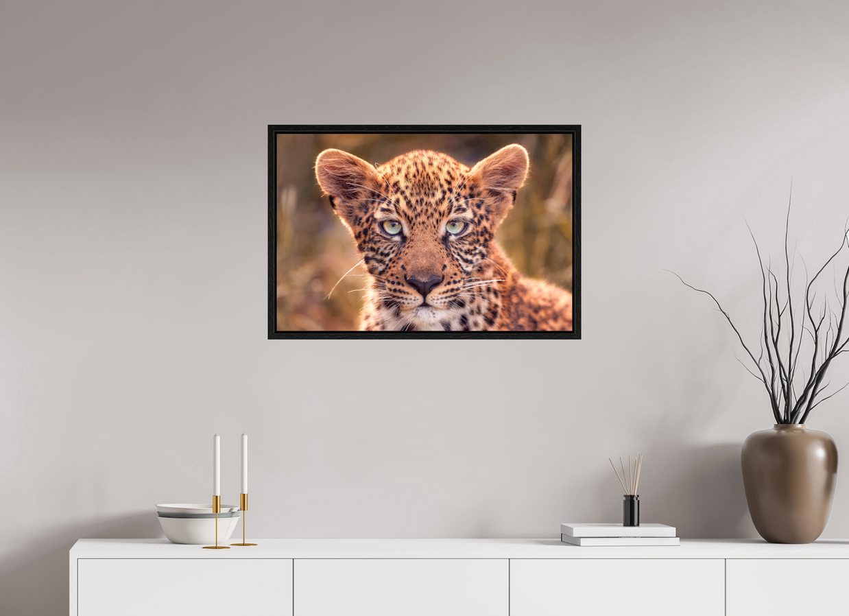 30 x 20″, L+XL Black Floater Frame SEEN