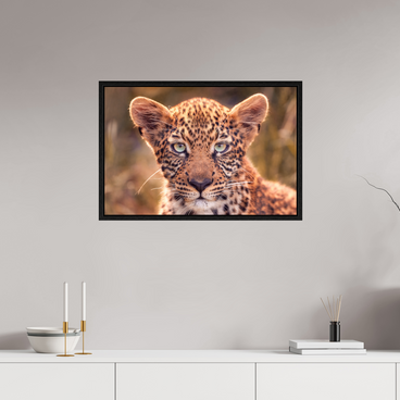 30 x 20″, L+XL Black Floater Frame SEEN