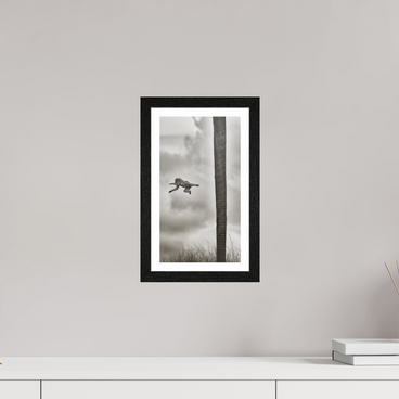 6.8 x 12″, S+M Black Frame + border Beyond The Branch