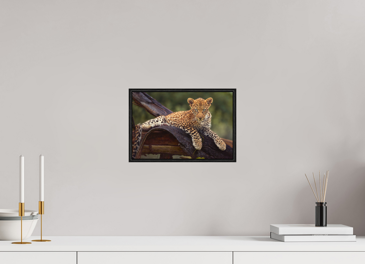 12 x 8″, S+M Black Floater Frame Before Knowing