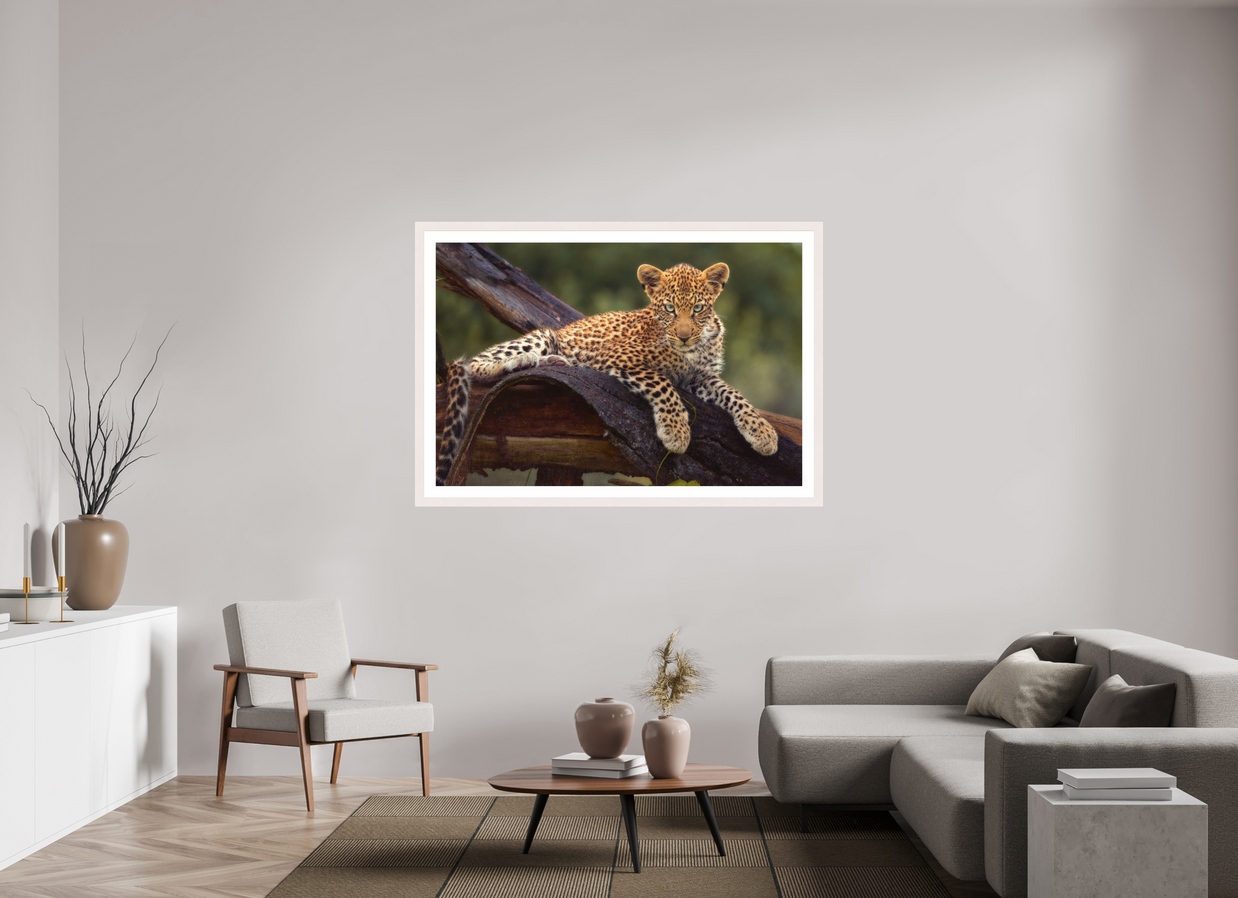 60 x 40″, Exhibition White Maple Frame + Border BEFORE KNOWING