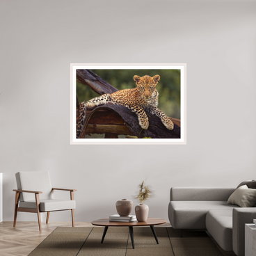 60 x 40″, Exhibition White Maple Frame + Border BEFORE KNOWING