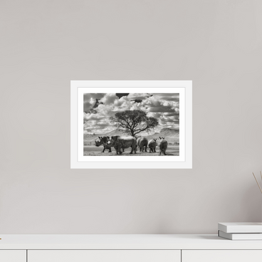 12 x 8″, S+M White Frame + Border PERFECTLY STILL