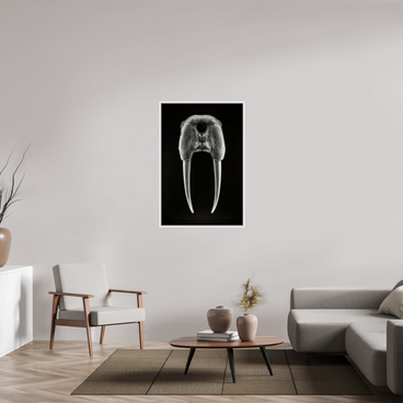 30 x 45″, L+XL White Floater Frame DENTAL PLAN