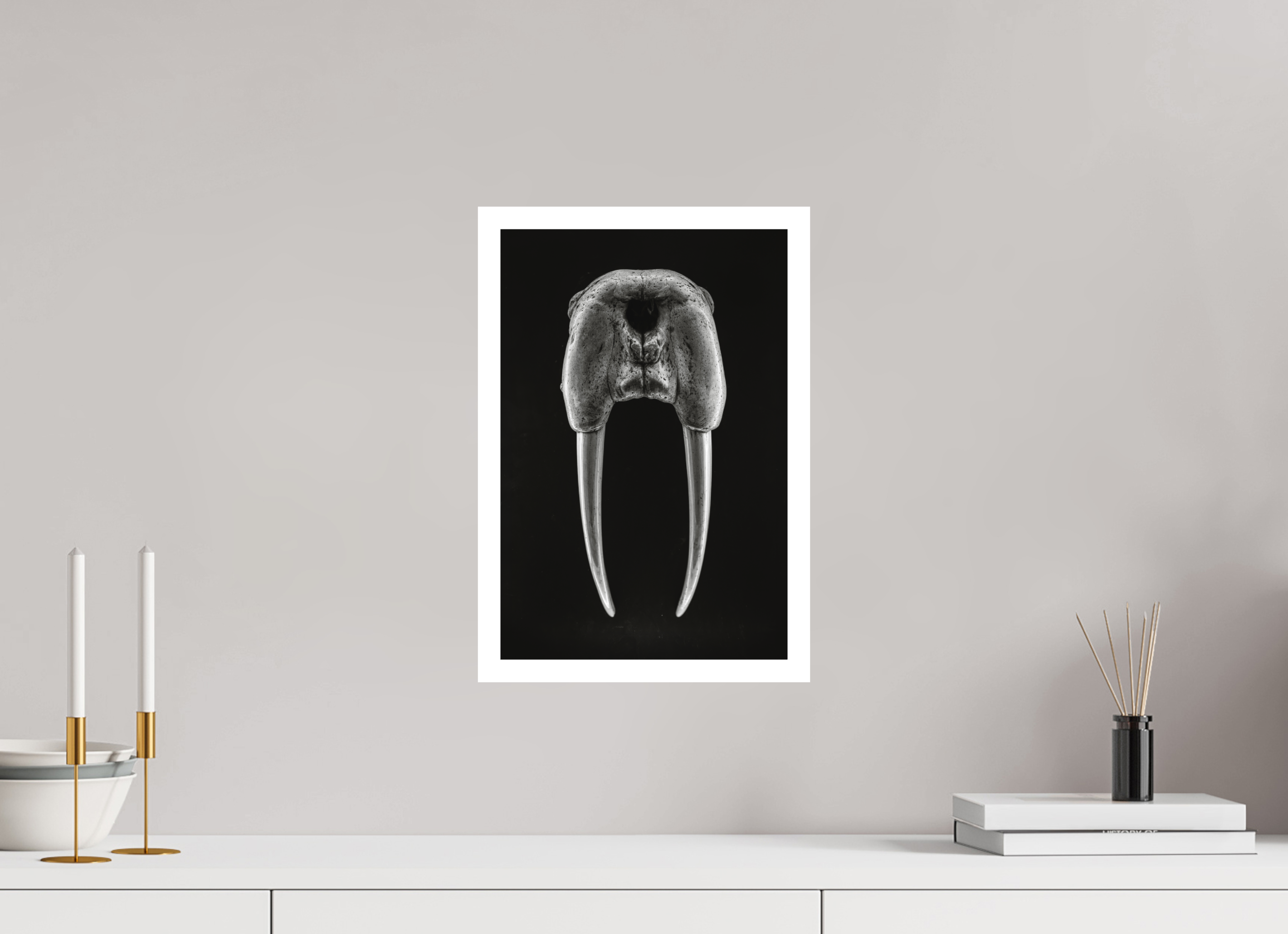 10 x 15″, M Print DENTAL PLAN
