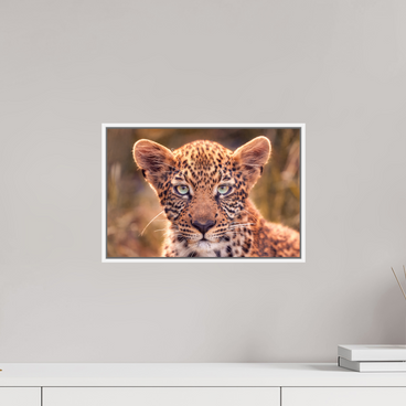 15 x 10″, S+M White Floater Frame SEEN