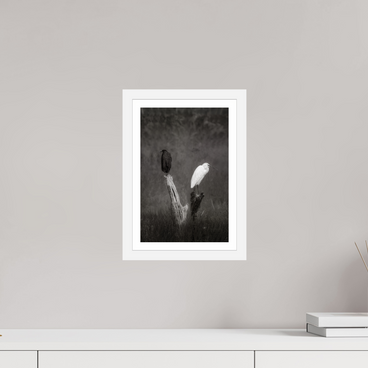 8 x 12″, S+M White Frame + Border TWO TRUTHS