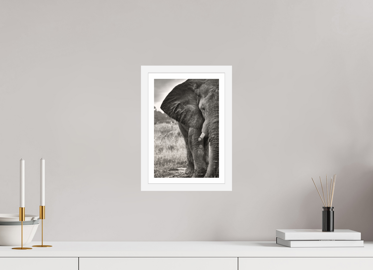 8 x 12″, S+M White Frame + Border BURDEN OF A TITAN