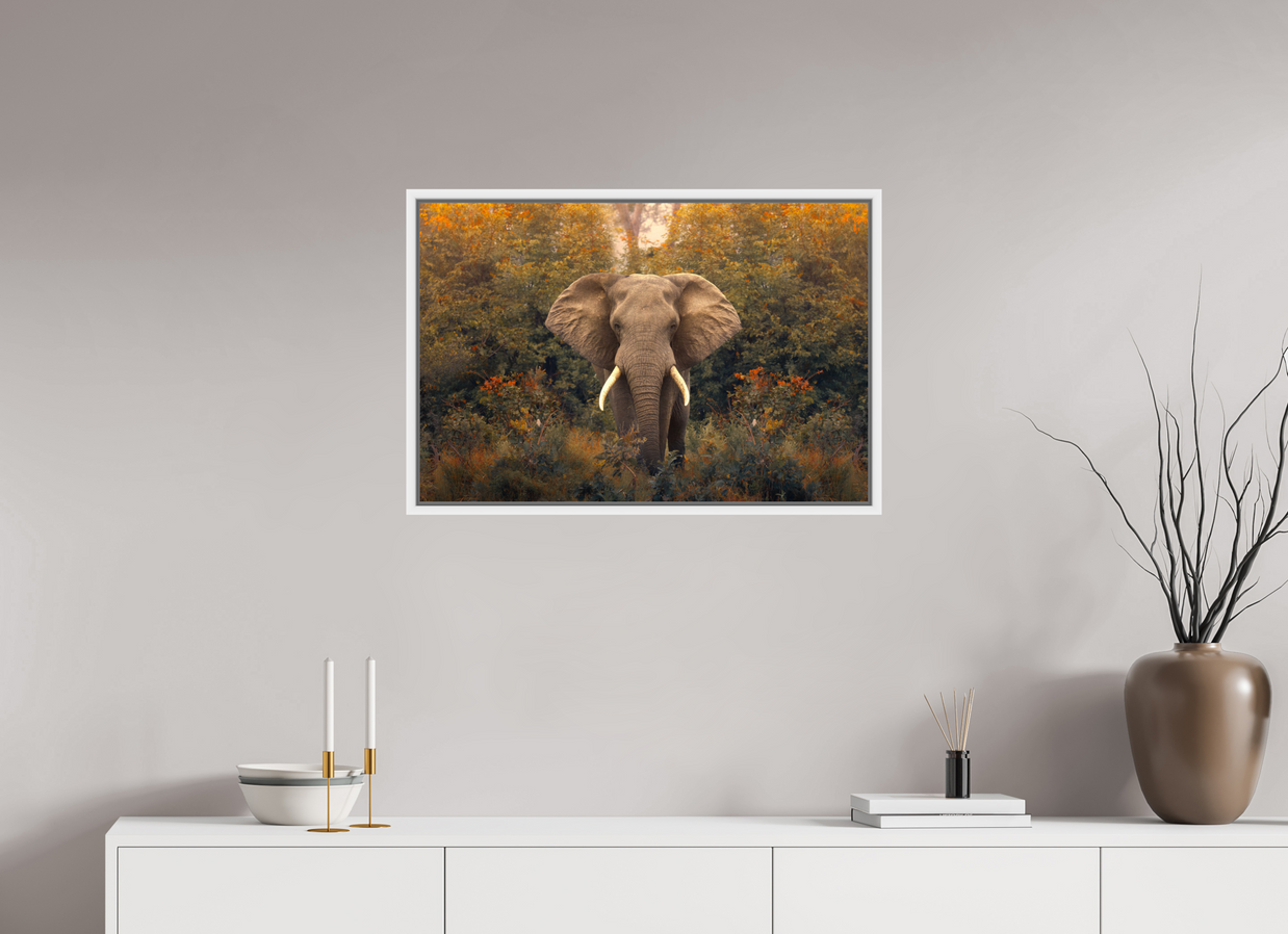 30 x 20″, L+XL White Floater Frame Revelation