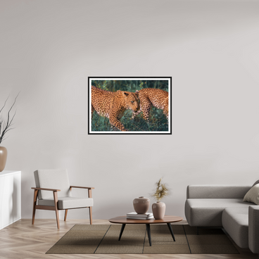 45 x 30″, L+XL Black Frame + Border UNTAMED OPULENCE