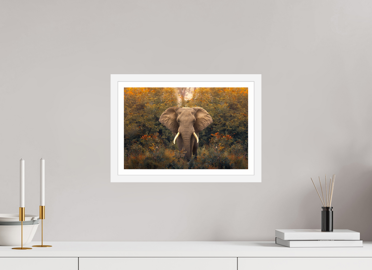 15 x 10″, S+M White Frame + Border REVELATION