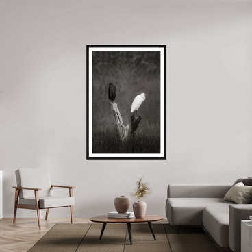 40 x 60″, Exhibition Black Frame + Border TWO TRUTHS