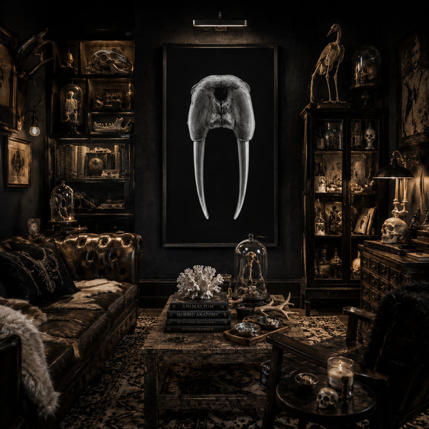 DENTAL PLAN