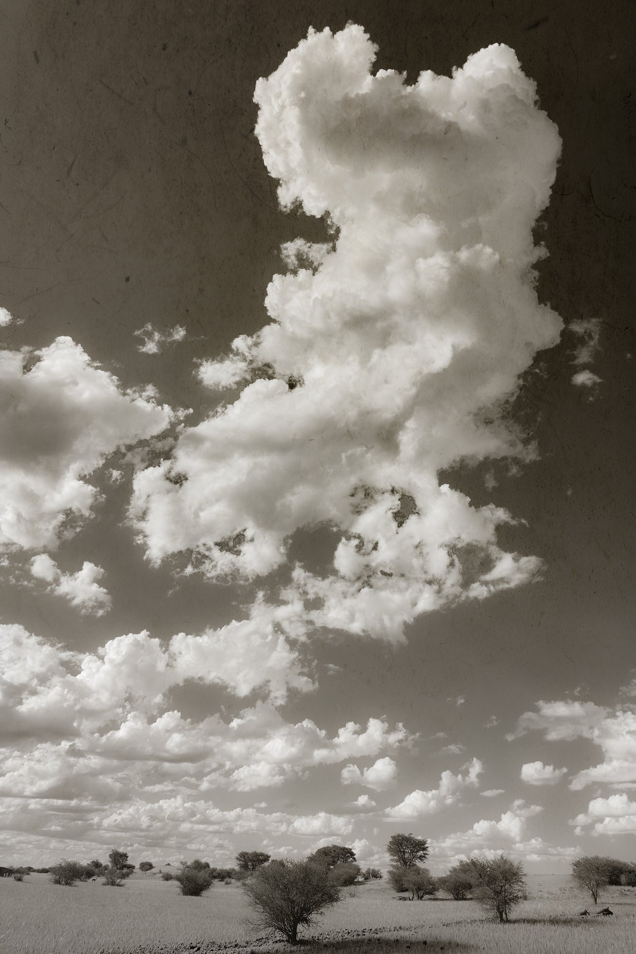 SKY THOUGHTS