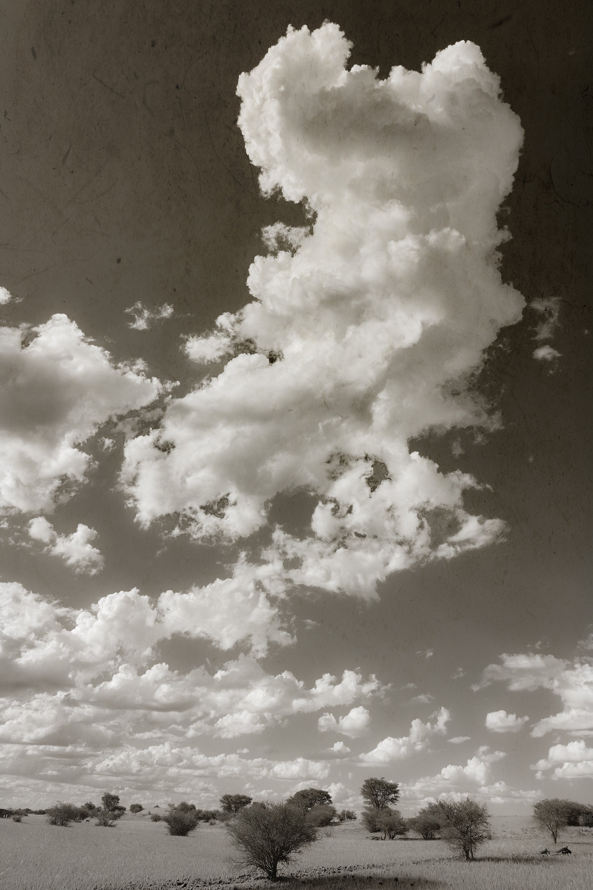 SKY THOUGHTS