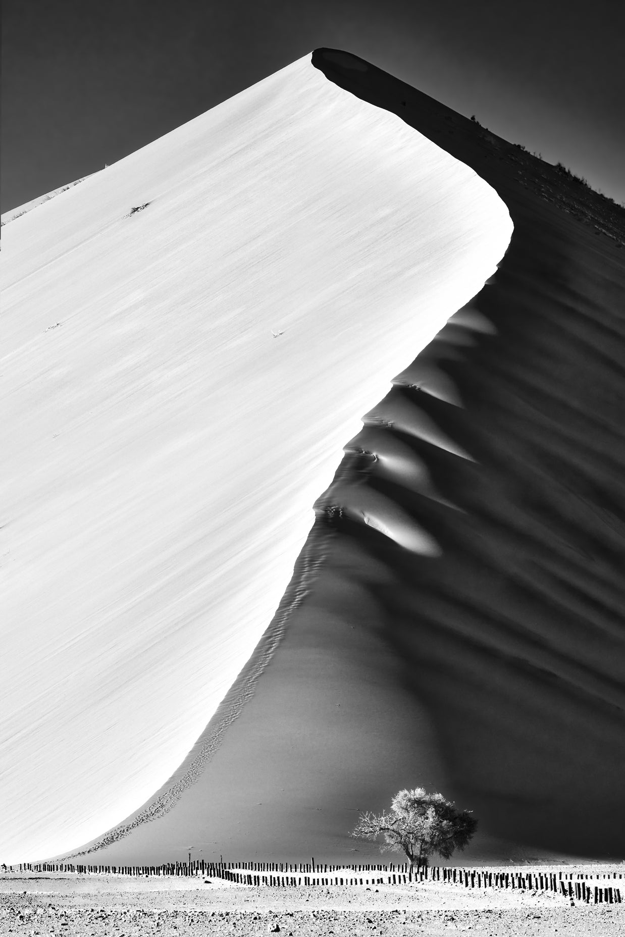 Main image THE EDGE