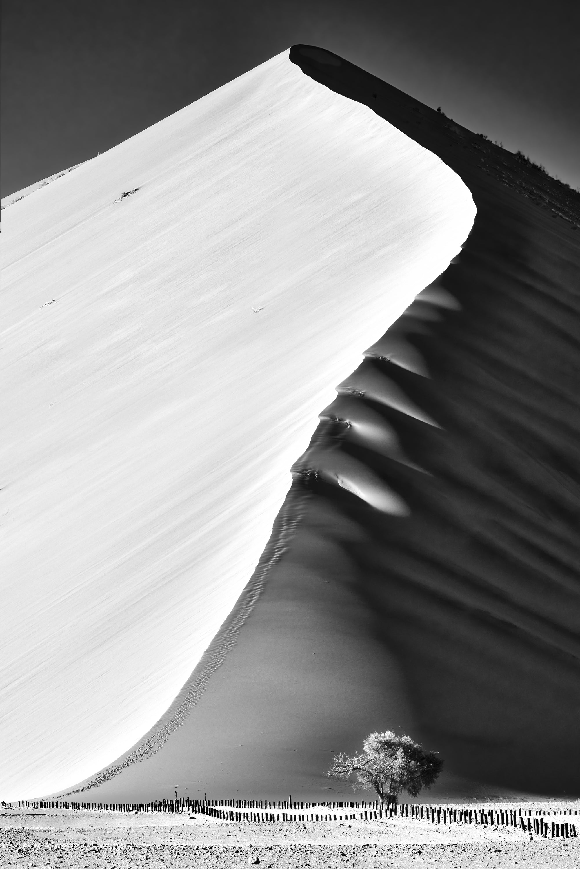 Main image THE EDGE