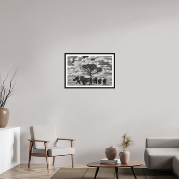 30 x 20″, L+XL Black Frame + Border PERFECTLY STILL