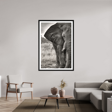 40 x 60″, Exhibition Black Frame + Border BURDEN OF A TITAN