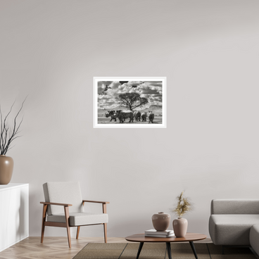 30 x 20″, L+XL White Frame + Border PERFECTLY STILL