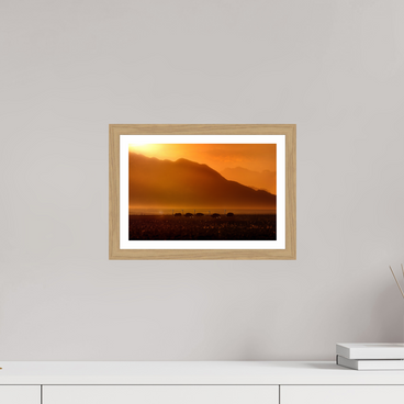 12 x 8″, S+M Oak Frame + Border PROCESSION OF LIGHT