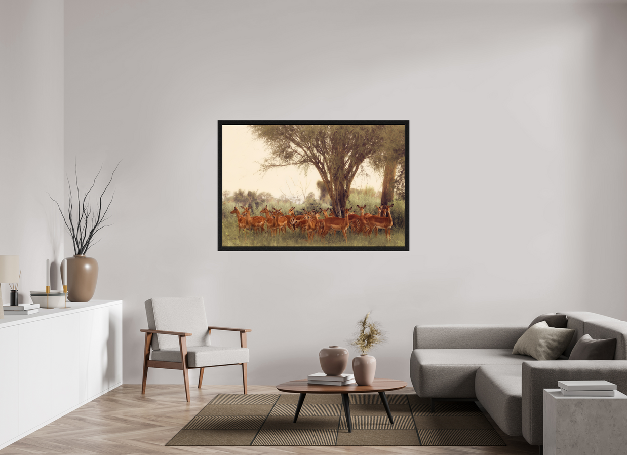 60 x 40″, Exhibition Black Floater Frame THE FIELD FEELS