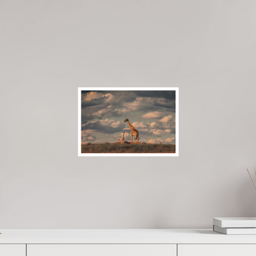 12 x 8″, S Print LINEAGE