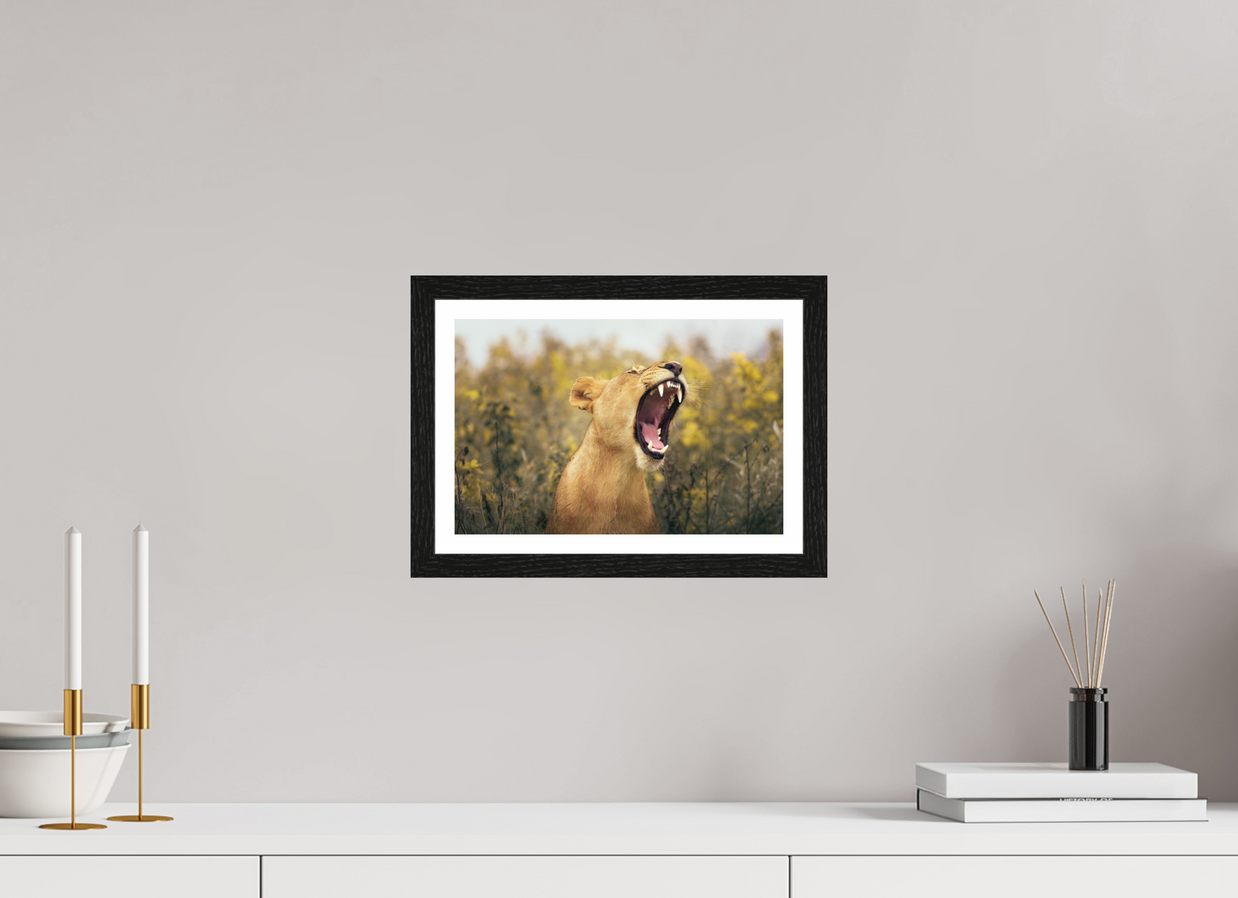 12 x 8″, S+M Black Frame + border UNCONTAINED