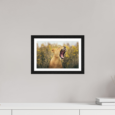 12 x 8″, S+M Black Frame + border UNCONTAINED