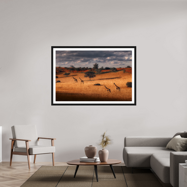 60 x 40″, Exhibition Black Frame + Border SYMPHONY OF SILENCE