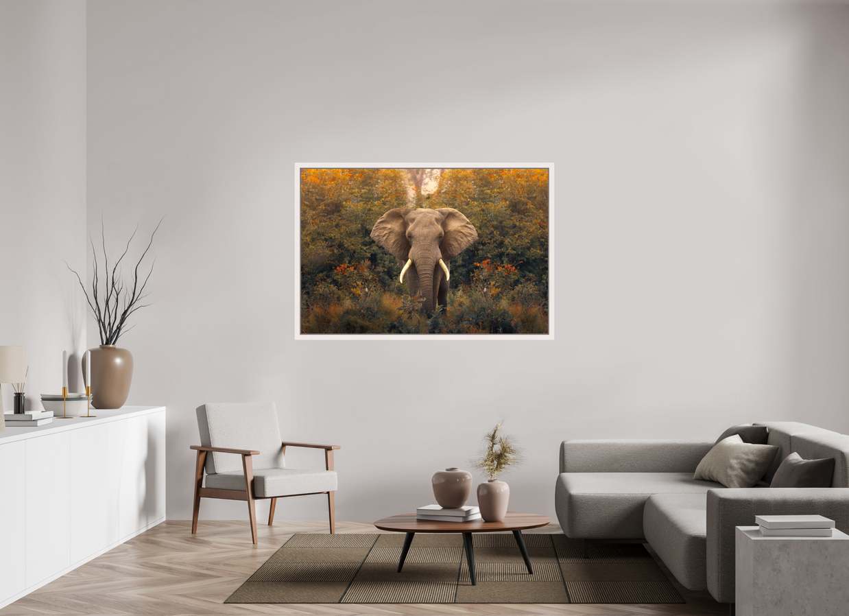 60 x 40″, Exhibition Maple White Floater Frame REVELATION