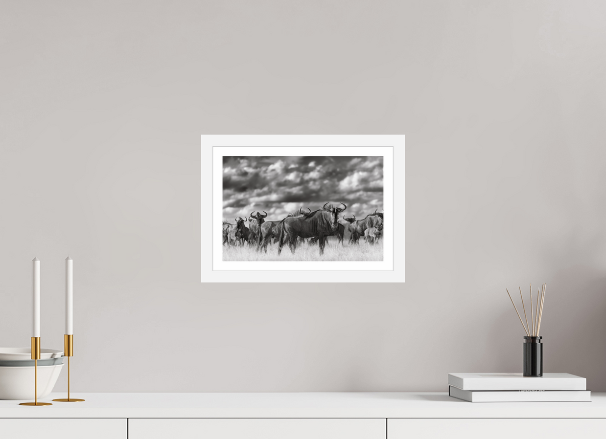 12 x 8″, S+M White Frame + Border MYSELF IN THE MANY