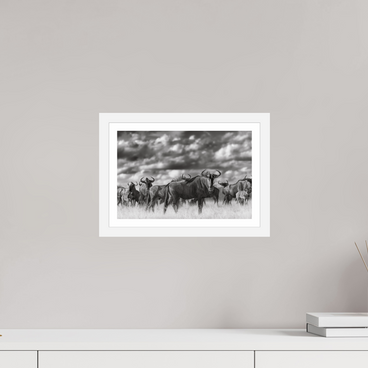 12 x 8″, S+M White Frame + Border MYSELF IN THE MANY